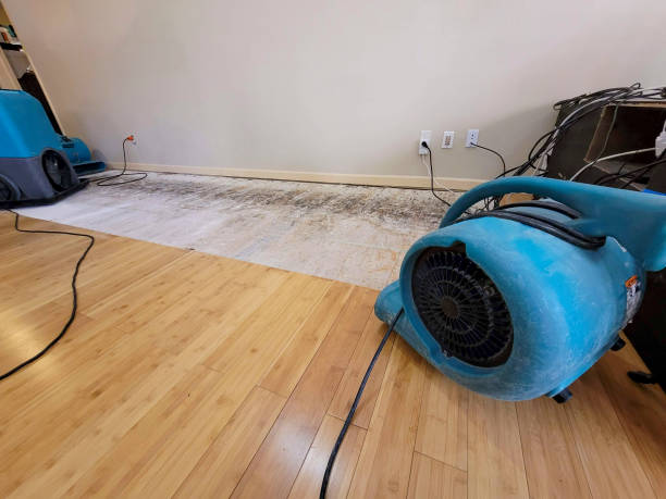 Professional Water Damage Repair technician working in Greenville, TX